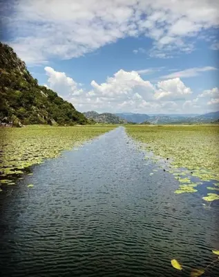 a large body of water with algae on it at JOCKER in Virpazar