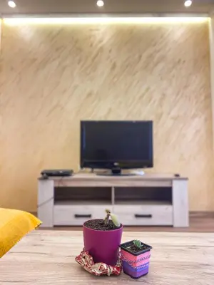 a living room with a tv and a potted plant at ANDI Apartment in Ulcinj
