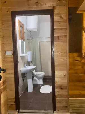 a bathroom with a toilet and a sink at Cottage Four Olives in Ulcinj