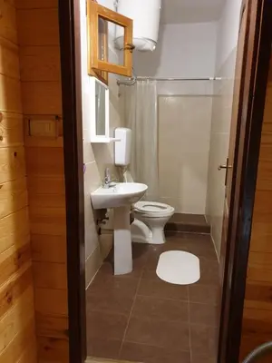 a bathroom with a toilet and a sink at Cottage Four Olives in Ulcinj