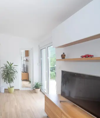 a living room with a tv and a fireplace at Plamenatz studio apartments in Virpazar