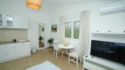 a kitchen and living room with a tv and a table at Plamenatz studio apartments in Virpazar