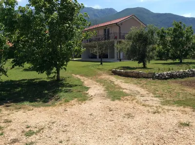 a house with a tree and a dirt road at Apartments Raskovic I in Radanovići