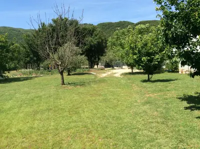 a field of grass with trees in the background at Apartments Raskovic I in Radanovići