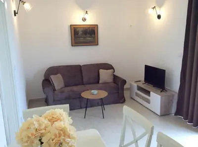 a living room with a couch and a tv at Apartments Raskovic I in Radanovići