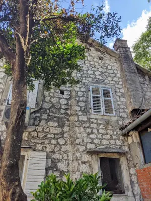 an old stone house with a tree in front of it at Best view! Rooftop with Garden - Old Town Nr404 in Kotor