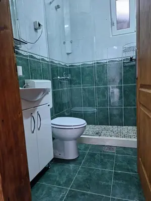 a bathroom with a toilet and a sink and a shower at Apartments Klakor PS in Tivat