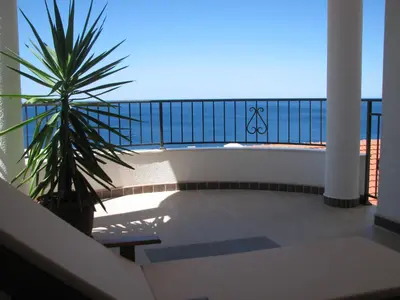 a balcony with a palm tree and a view of the ocean at Apartments Leut in Sveti Stefan