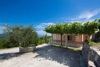 a road in front of a house with trees at Villa Robinson in Petrovac na Moru