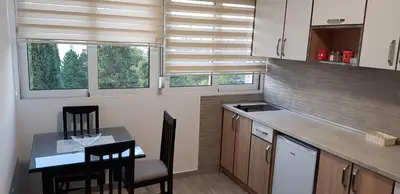 a kitchen with a table and chairs and windows at Renta stan apartman odmor in Podgorica