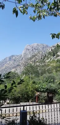 a mountain in the distance with a fence and trees at Apartment Sali in Kotor