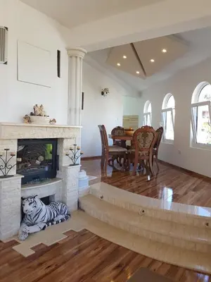 a living room with a fireplace and a zebra laying on the floor at Guest house Nina in Bar