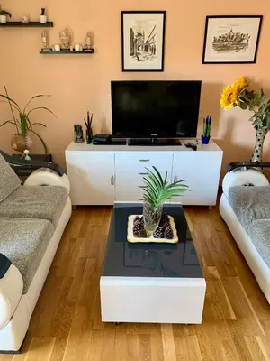 a living room with a tv and a couch at Sunny Apartment Petrovac in Petrovac na Moru