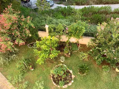 an overhead view of a garden with plants and flowers at Sunny Apartment Petrovac in Petrovac na Moru