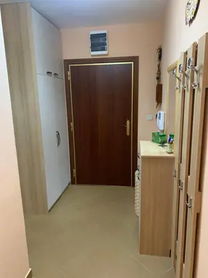 a kitchen with a brown door and a counter at Sunny Apartment Petrovac in Petrovac na Moru