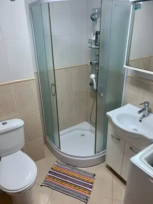 a bathroom with a shower and a toilet and a sink at Sunny Apartment Petrovac in Petrovac na Moru