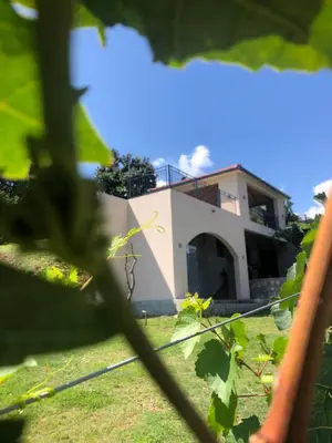 a house seen through the leaves of a plant at Green Silence - Anja in Danilovgrad
