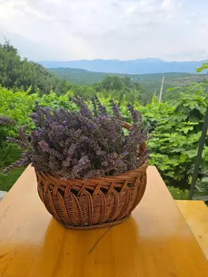 a basket filled with purple flowers sitting on a table at Green Silence - Iva in Danilovgrad