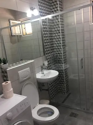 a bathroom with a shower and a toilet and a sink at Apartments Vila Andja in Sveti Stefan