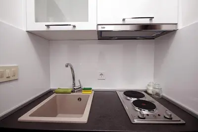 a kitchen with a sink and a stove at Holiday apartments Petrovac in Petrovac na Moru
