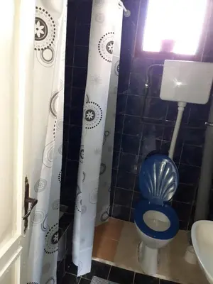 a bathroom with a blue toilet and a sink at Studio-apartman Milena 2 in Podgorica