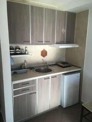 a small kitchen with a sink and a refrigerator at Apartman Odisej in Petrovac na Moru