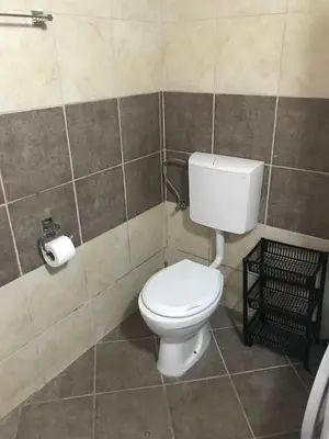 a bathroom with a toilet and a roll of toilet paper at Apartman Odisej in Petrovac na Moru