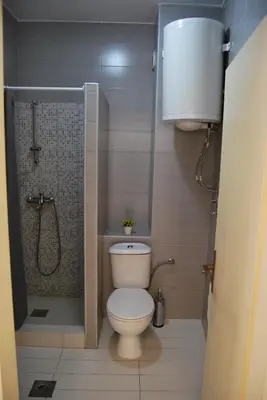 a small bathroom with a toilet and a shower at Apartment Antonia in Kotor
