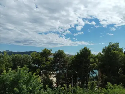 a view of trees and a cloudy sky at Joksimović apartmani in Bar, Susanj