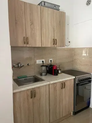 a kitchen with wooden cabinets and a sink at Adok stan in Budva
