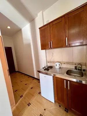 a small kitchen with wooden cabinets and a sink at Guesthouse Civovic in Bar