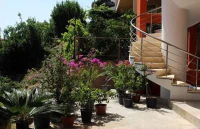 a bunch of plants in pots next to a building at Apartments Olga in Ulcinj