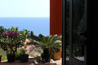 a view of the ocean from a room with plants at Apartments Olga in Ulcinj