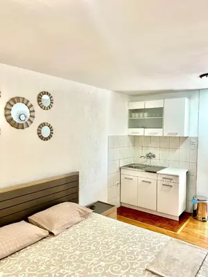 a bedroom with a bed and a sink at Apartments Jankovic in Podgorica