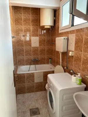 a bathroom with a washing machine and a tub at Apartments Jankovic in Podgorica