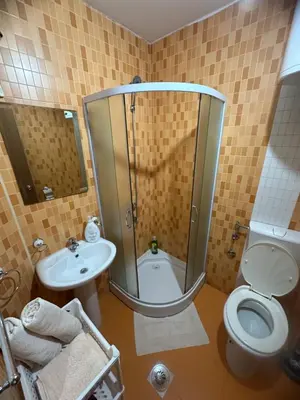 a bathroom with a shower and a toilet and a sink at Apartments Bokan in Cetinje