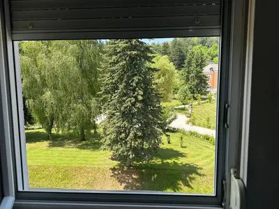 a window with a view of a tree in a field at Apartments Bokan in Cetinje