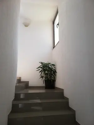 a staircase with a potted plant in a building at Yeshill Apart & Studio in Budva