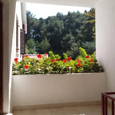 a window sill with red flowers and trees at Apartments Almaja Villa in Petrovac na Moru