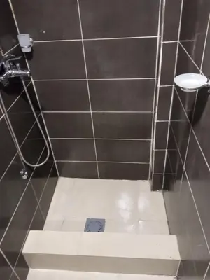a bathroom with a tiled shower with a toilet at Monte room in Podgorica