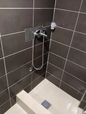 a bathroom with a shower in a black tiled wall at Monte room in Podgorica
