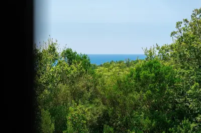 a view of trees with the ocean in the background at Villa Una in Kotor