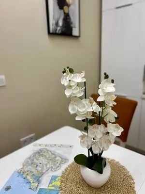a white vase with white flowers on a table at Nevenka in Bar