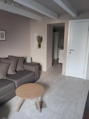 a living room with a couch and a table at Magnolia Lux Apartments in Budva