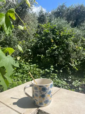a cup with a stick in it sitting on a table at Apartments Kuljaca in Budva