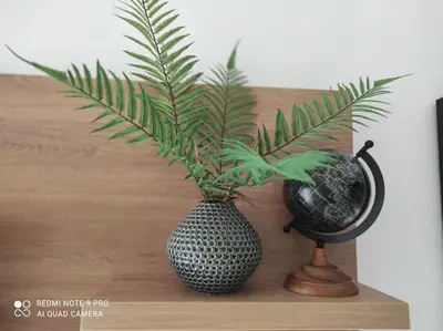 two plants in a vase sitting on a shelf at Blue berry apart in Budva