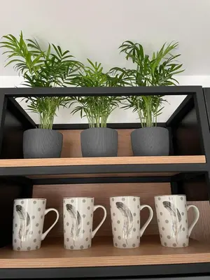 a shelf with three plants and mugs on it at Blue berry apart in Budva