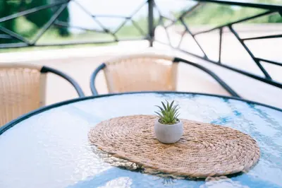 a small plant sitting on top of a glass table at Apartments Lungo Mare Ulcinj in Ulcinj