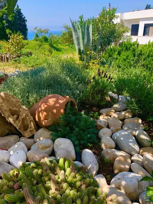 a garden with rocks and cacti in a yard at Apartments Lungo Mare Ulcinj in Ulcinj