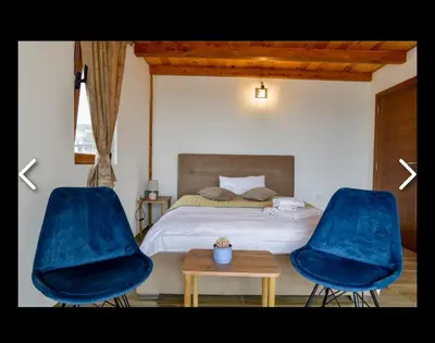 a bedroom with two blue chairs and a bed at Apartments Teona in Bar
